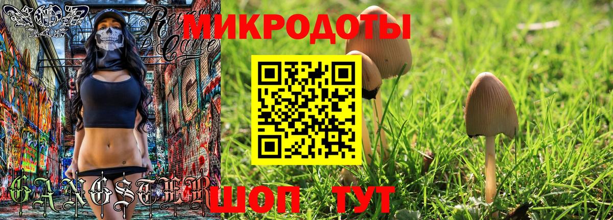 купить наркоту  Вход с VPN  Донской  Галлюциногенные грибы мицелий 